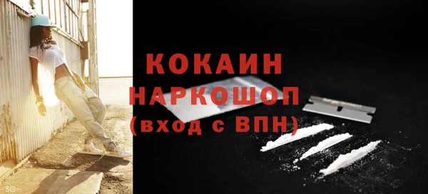 сатива Корсаков