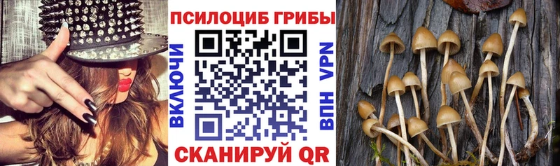 Галлюциногенные грибы мицелий  hydra ССЫЛКА  Мамадыш 
