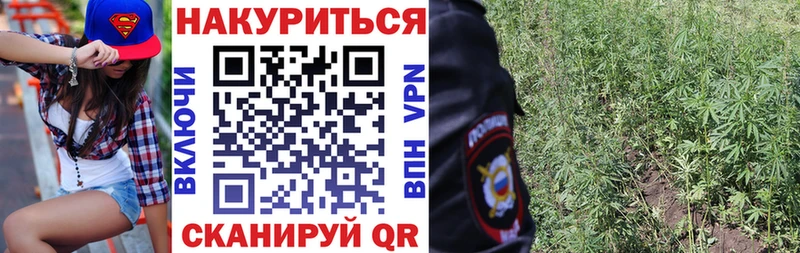 как найти закладки блэк спрут зеркало Бошки Шишки тримм Мамадыш